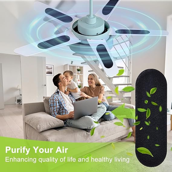 Coconut Carbon Fan Air Purifier Pads
